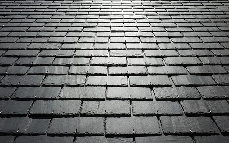 Toiture avant démoussage et traitement